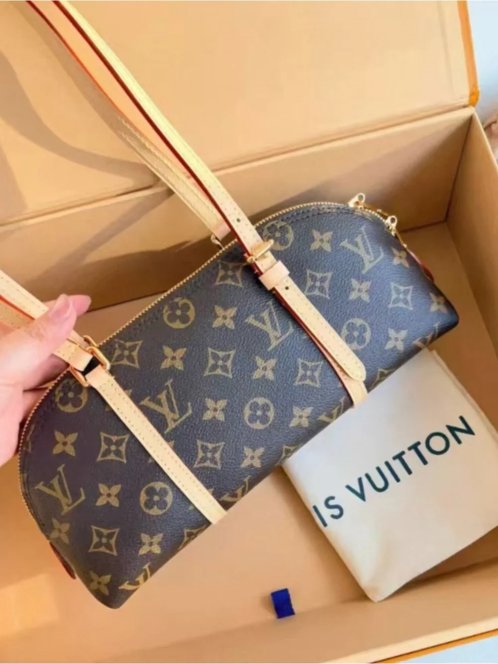 Louis Vuttion Monogram Canvas Shoulder Bag in Brown
